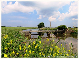 Angelurlaub in Ostfriesland