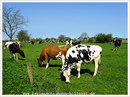 Landschaft Ferienwohnungen