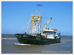 Royal Frysk Hoo70 Muschelkutter