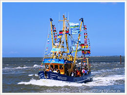 Veranstaltung Kutterregatta Neuharlingersiel