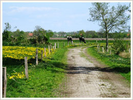 Wege Holtgast Wege Holtgast