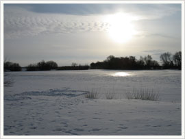 Zugefrorener Schwanensee