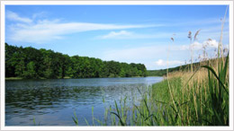 Angeln im Ploggensee