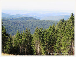 Berglandschaft im Harz