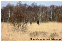 Ewiges Meer Eversmeer Herbst