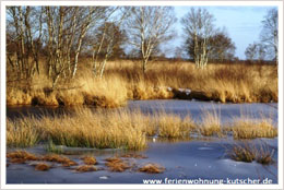 Ewiges Meer Eversmeer Winter