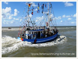 Krabbenkutter Regatta Neuharlingersiel