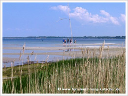Kstenlandschaft Ostsee