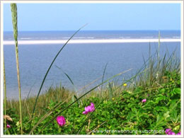 Langeoog Sauna Langeoog Sauna