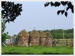 Ostfriesland Urlaub