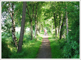 Radfahren in Ostfriesland