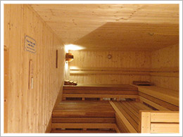 Gartensauna Gartensauna