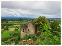 Schwarzwald Landschaft