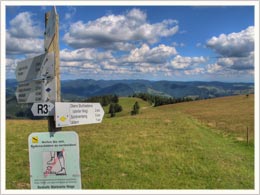 Schwarzwald Urlaub