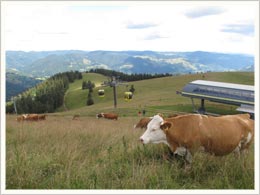 Seilbahn Schwarzwald