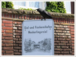 Speisen im Fischereihafen