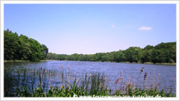 Vielbecker See