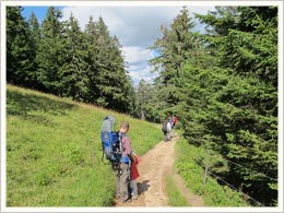 Wandern Schwarzwald